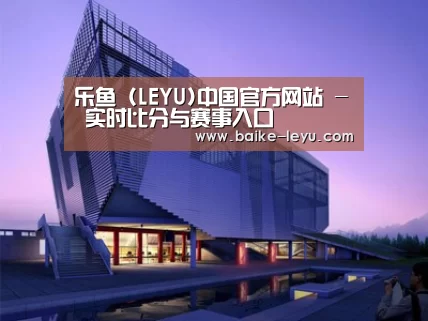 案例展示六