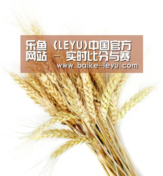乐鱼 (LEYU)中国官方网站 - 实时比分与赛事入口