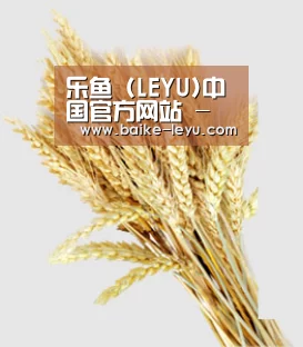 乐鱼 (LEYU)中国官方网站 - 实时比分与赛事入口