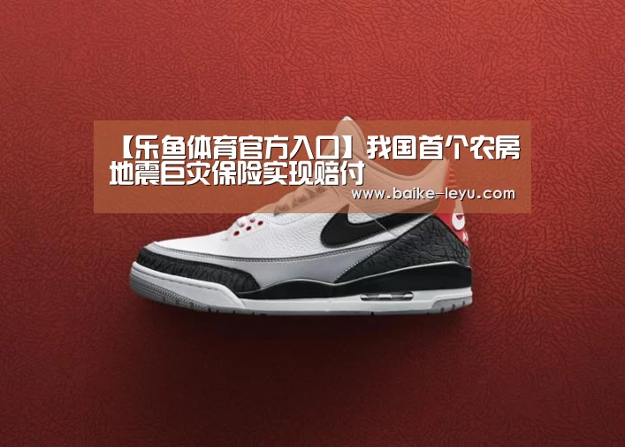 【乐鱼体育官方入口】我国首个农房地震巨灾保险实现赔付(图3) 乐鱼体育官方入口