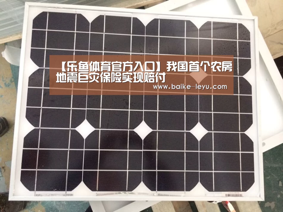 【乐鱼体育官方入口】我国首个农房地震巨灾保险实现赔付(图4) 乐鱼体育官方入口