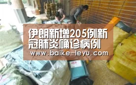 伊朗新增205例新冠肺炎确诊病例 总计593例‘乐鱼体育官方入口’(图2) 乐鱼入口